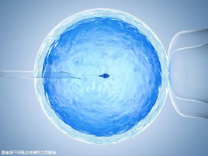 中心环境